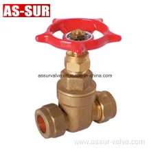 Pex Pipe Brass Gate Valve with Connection